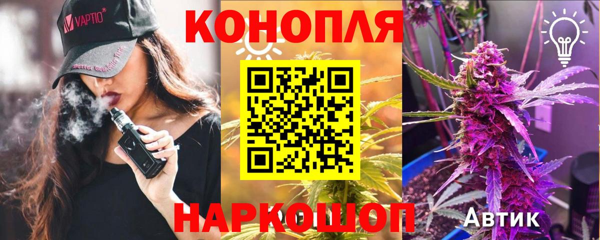 Конопля планчик Лесосибирск